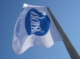 Domo: PA-Compoundeur baut Kapazitäten in Premnitz aus                                                                           