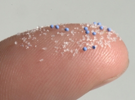 Mikroplastik: Erster Nachweis in menschlicher Verdauung                                                                         