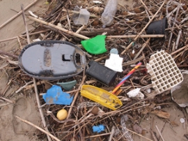 Marine Litter: Neue Fördermöglichkeiten für Projekte                                                                            