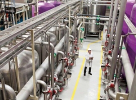 Carbios / Kem One: PET-Recycling in Frankreich geplant                                                                          