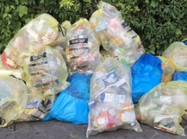 Verpackungsrecycling: Zentrale Stelle jetzt offizielle Behörde                                                                  