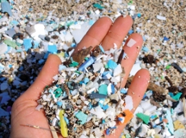 Kunststoffe: Studie zu Auswirkungen auf menschliche Gesundheit                                                                  