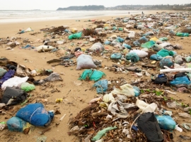 Kunststoffabfall-Handel: Malaysia plant Rücksendungen                                                                           