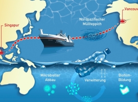 Micro-Fate: Internationales Forschungsprojekt zu Mikroplastik im Meer                                                           