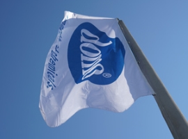 BASF / Solvay: Polyamid-Dreiecksdeal mit Domo Chemicals                                                                         