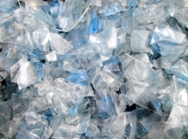 Remondis: PET-Aufbereitung in Zeitz ersetzt Werk Gelsenkirchen                                                                  