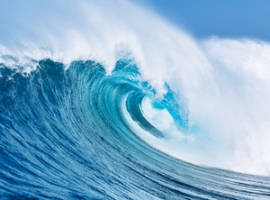 Umwelt: Greenpeace wirft Konsumgüterherstellern falsche Versprechen vor                                                         