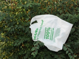 Biopolymere: Kompostierbare Verpackungsprodukte zersetzen sich schnell                                                          