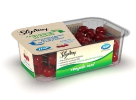 Ilip: Hybridverpackung aus 100 Prozent RE-PET und Karton                                                                        