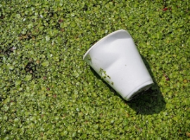 Agilyx: Neuer Reinigungsprozess fürs PS-Recycling                                                                               