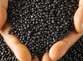 Snetor: Französischer Distributeur auf Expansionskurs                                                                           