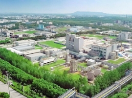 Wacker: Elastomer- und Silikonspezialist weitet Stellenabbau aus                                                                