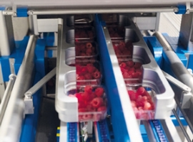 Baumann: Obsterzeuger investiert in Sealpac-Schalenversiegelung                                                                 