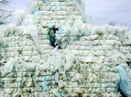 ExcelRise: Verpackungs- und Recyclingfirmen neu gebündelt                                                                       