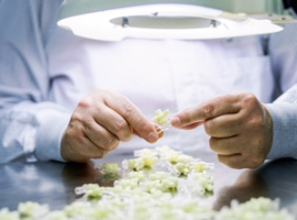 Nanogate: Medical Systems an Walter Potthoff veräußert                                                                          