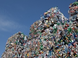 Verpackungsrecycling: ZSVR meldet Verstöße künftig digital weiter                                                               