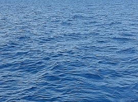 Logistik: Containerfrachtraten weiter im Preisrallyewahnsinn                                                                    