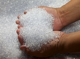 SI Group: Ausweitung der Produktion von Antioxidantien                                                                          