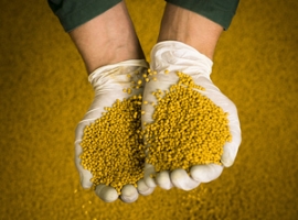 Holland Colours: Farb- und Additivhersteller steigert den Gewinn                                                                