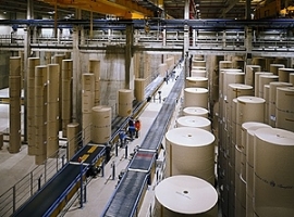 Wellpappenindustrie: Hohe Papierpreise, schlechte Verfügbarkeit                                                                 