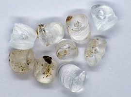 Sortco: Granulat-Sortierer bezieht neue Produktionsstätte                                                                       