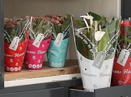 Paardekooper: Übernahme der Van Dillewijn Group                                                                                 