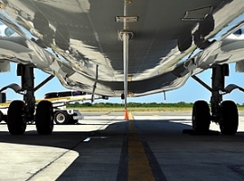 Logistik: Bellytransporte und der Weg über die Neue Seidenstraße                                                                