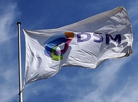 DSM: Niederländer trennen sich endgültig von der Materialsparte                                                                 