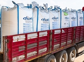 Dioki Petrokimya: Erzeuger will Polystyrol-Kapazität erhöhen                                                                    