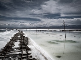 Ifo-Institut: Studie zu Auswirkungen des Ukraine-Kriegs                                                                         