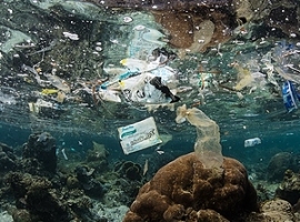 Klimaschutz: Bündnis gegen Umweltverschmutzung durch Kunststoffe                                                                