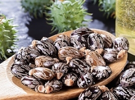 Arkema: Mehr Elastomer-Kapazitäten in Frankreich