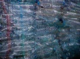 SI Group: Neue Additiv-Reihe für Recyclinganwendungen                                                                           