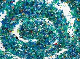 Kunststoffrecycling: Italien verwertet deutlich mehr PET-Schalen