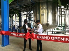 Pearl Group: PUR- und PET-Produzent aus Dubai plant Expansion                                                                   