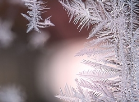 USA: Anlagen in Texas wegen Wintereinbruch vorsorglich geschlossen                                                              