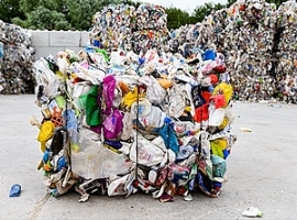 Duale Systeme: Zufriedenheit mit erreichten Recyclingquoten für 2021                                                            