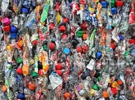 Veolia: PET-Recyclingwerk in Rostock vor dem Aus