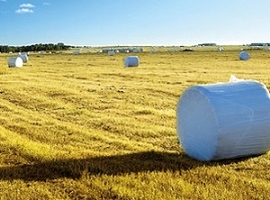 Agrarfolien: ERDE baut Recyclingmenge deutlich aus                                                                              