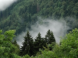 UPM Biochemicals: PET-G aus Biomasse