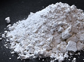 Kolon: PHA-Entwicklung mit niederländischer Paques Biomaterials