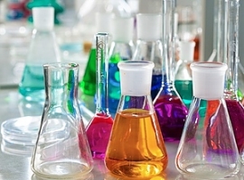 Ifo: Unternehmen klagen über historisch niedrigen Auftragsbestand                                                               