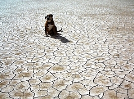 Logistik: Wachsende Staus vor dem Panama-Kanal                                                                                  