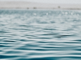 DIW: Deutsche Industrie kommt nicht in Schwung                                                                                  