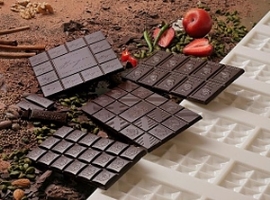 IKT: Recycling von Schokoladenformen aus Polycarbonat                                                                           