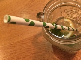 Umweltstudie: Bio-Trinkhalme enthalten „Ewigkeitschemikalien“                                                                   