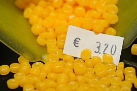 Ascend: Preiserhöhung in der gesamten Polyamidstrecke                                                                           