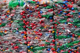 Österreich: PET-Verwertungsmenge erreicht fast Vorjahresniveau