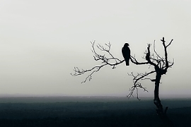 Ifo-Institut: Stimmung in Kunststoffbranche trübt sich wieder ein