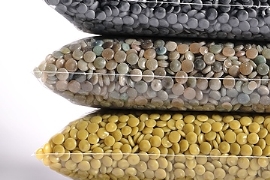 Borealis: Kauf des bulgarischen Recyclers Integra Plastics abgeschlossen